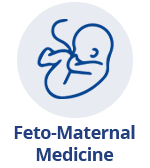 feto-maternal medicine
