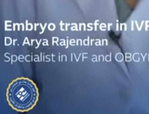 Embryo Transfer in IVF