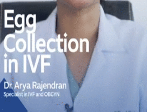 Egg Collection in IVF